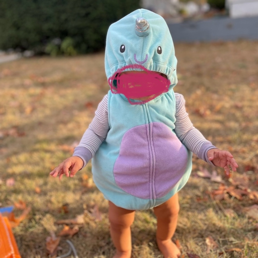 Carter’s Narwhal Halloween Costume, 12M